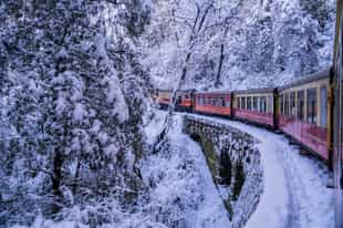 Take the toy train through the Himalayan foothills