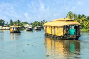 Explore the backwaters of Marari on a houseboat