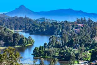 Explore the charming hill station of Kodaikanal