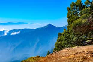 Hike through the scenic landscapes of Palani Hills