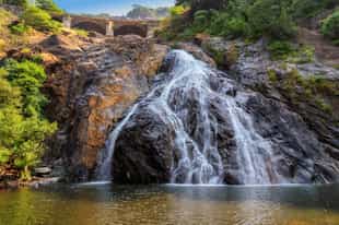 See the majestic Dudhsagar Waterfalls in Goa