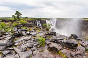 Go on a guided walking tour of Livingstone Island 
