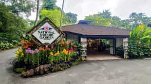 Explore the National Orchid Garden in Singapore