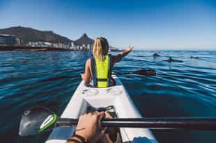 Kayak next to dolphins at Cape Town's Waterfront