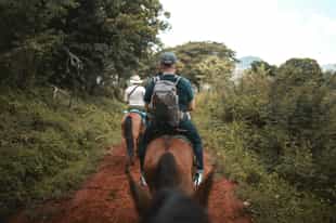 Take a thrilling horse ride in scenic Drakensberg