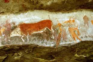See rock art in ancient caves in the Drakensberg