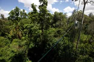 Take a trek through Ngare Ndare Forest, Laikipia