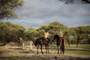 Explore Maun on a horseback safari