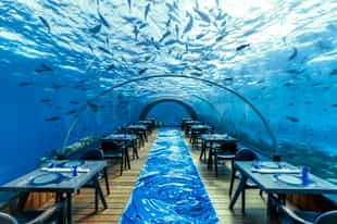 Dine at an underwater restaurant
