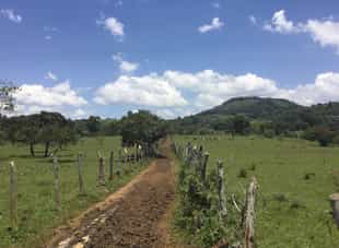 See the sites of San Agustin on a jeep tour