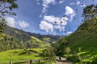 Take in the views on a hike in the Cocora Valley
