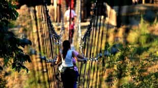 Visit the agricultural theme park, Panaca Park