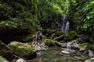 Walk to visit Amazon's sustainability projects