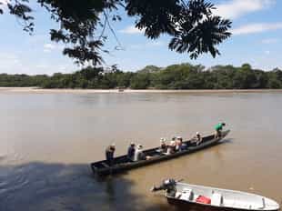Go on a boating safari down the Cravo Sur River