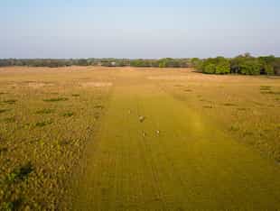 Run along Los Llanos' tropical forest paths