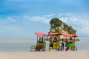 Explore pristine beaches and jungles on a hike