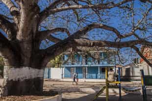 Explore the village of Barú with local guides