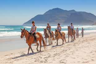 Explore the beaches of Barú on horseback
