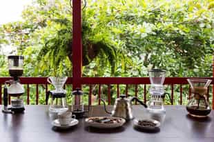 Learn the process of preparing cocoa 