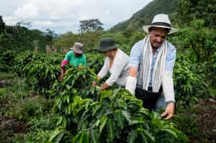 Visit a working coffee farm at Hacienda Bruselas