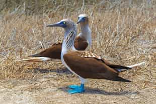 Visit the San Cristóbal Interpretation Center