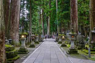 Take a walking tour through Okunoin Cemetery, Koya