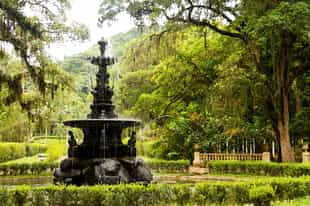Walk around Rio de Janeiro Botanical Garden