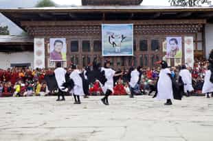 Experience Gangtey's Black Necked Crane festival