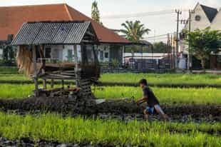 Explore the local villages and towns of Canggu