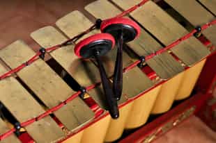 Learn how to play a traditional music instrument