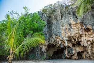 Walk through forests, coves & tsingy labyrinths 