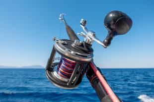 Cast a line out on a deep sea fishing trip 