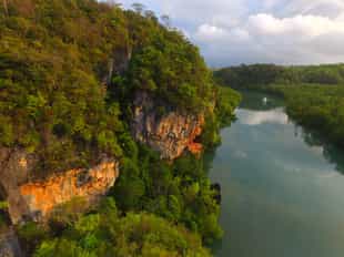 Take a sunset cruise through the mangroves