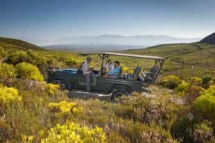 Go on a botanical 4x4 tour in Grootbos