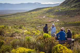 Enjoy a picnic in Grootbos Nature Reserve