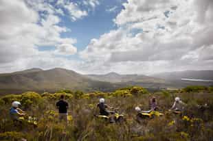 Go on a quad biking excursion in Grootbos
