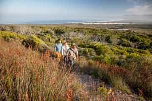 Take a guided nature walk in Grootbos