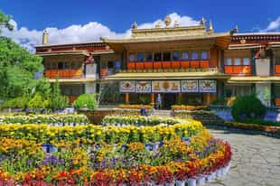 Explore the Norbulingka Palace & surrounding park