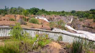 Explore the pretty Lowveld Botanical Gardens