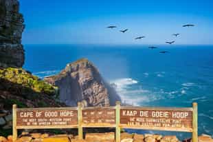 Visit the Cape of Good Hope near Cape Town