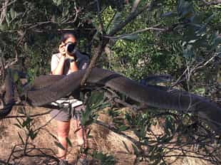 Visit the exciting Hoedspruit Reptile Centre