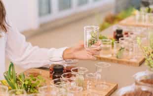 Go on a sensory South African botanical Journey