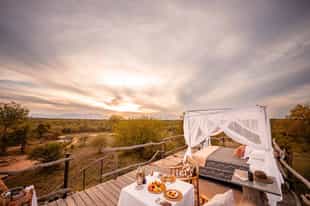 Spend the night under the stars on a sleepout