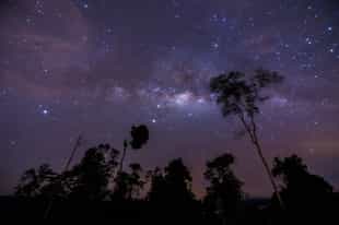 Spend an evening stargazing in Karongwe