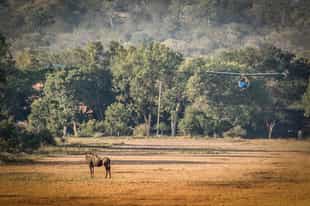 Soar above Makalali on a fixed-wing flight