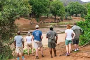 Explore the walking trails of the Northern Kruger 