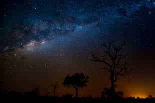 Stargaze against the clear skies of Sabi Sands