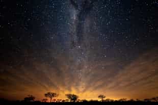 Observe the Milky Way from the Sabi Sands