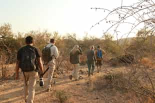 Discover the wilds of the Southern Kruger on foot