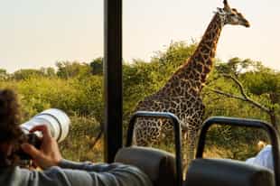 Track the unique wildlife in the Southern Kruger